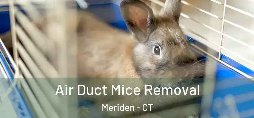  Air Duct Mice Removal Meriden - CT