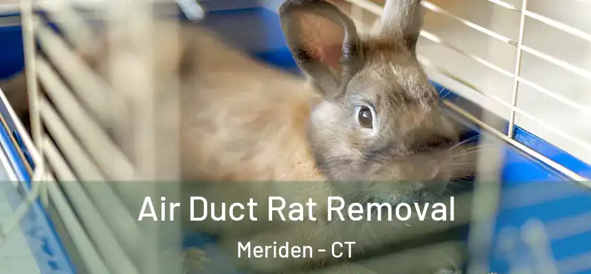 Air Duct Rat Removal Meriden - CT