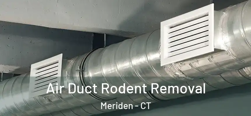 Air Duct Rodent Removal Meriden - CT