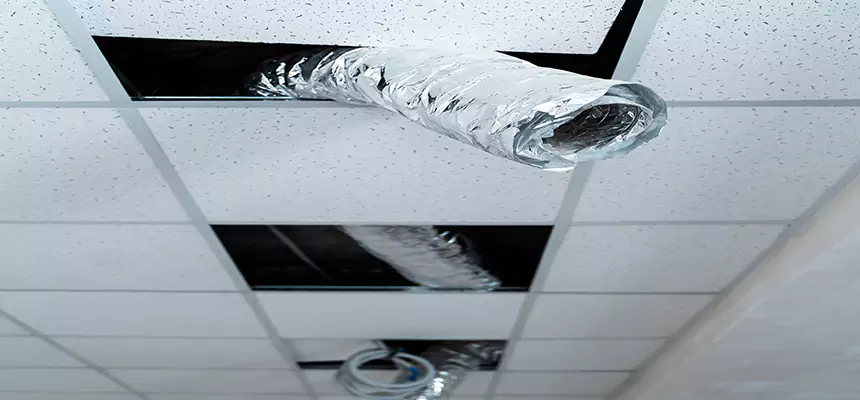 Our Air Duct Pet Hair Removal Services in Meriden, CT