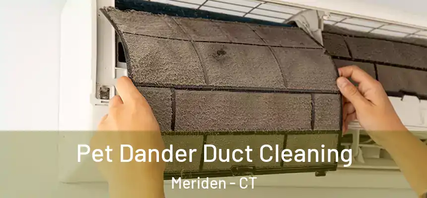  Pet Dander Duct Cleaning Meriden - CT