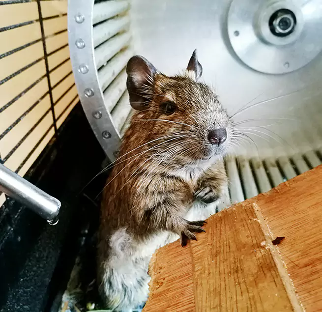 Why Homeowners & Businesses Trust Us Meriden, CT?